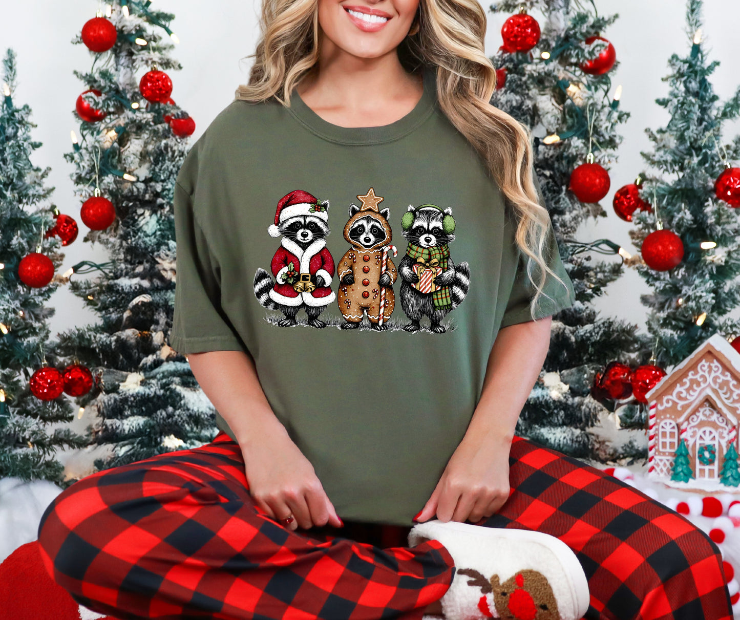 Christmas Racoon