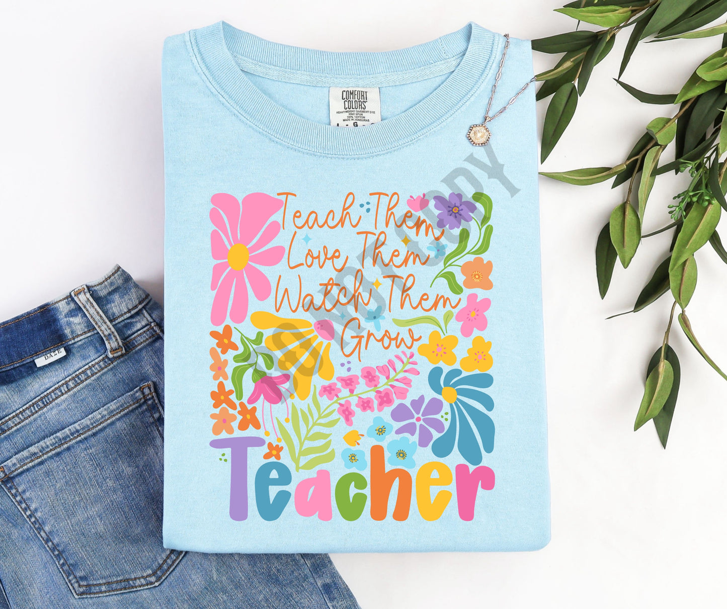 Teacher