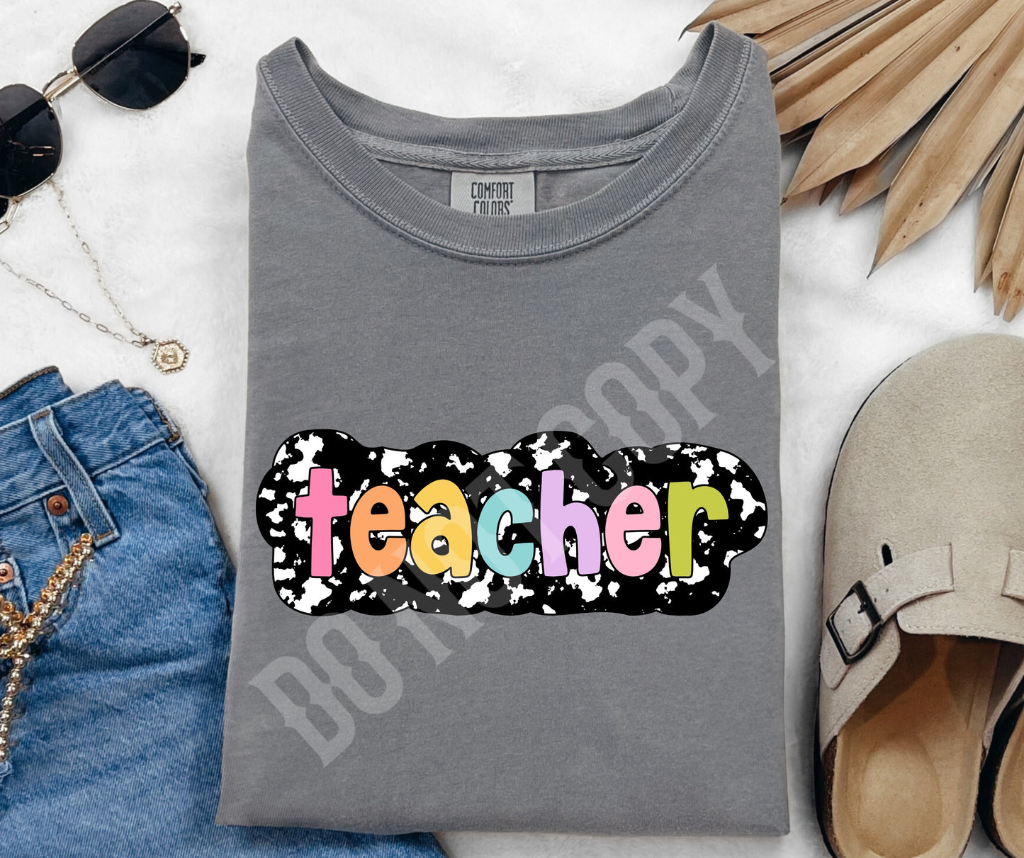 BTS teacher