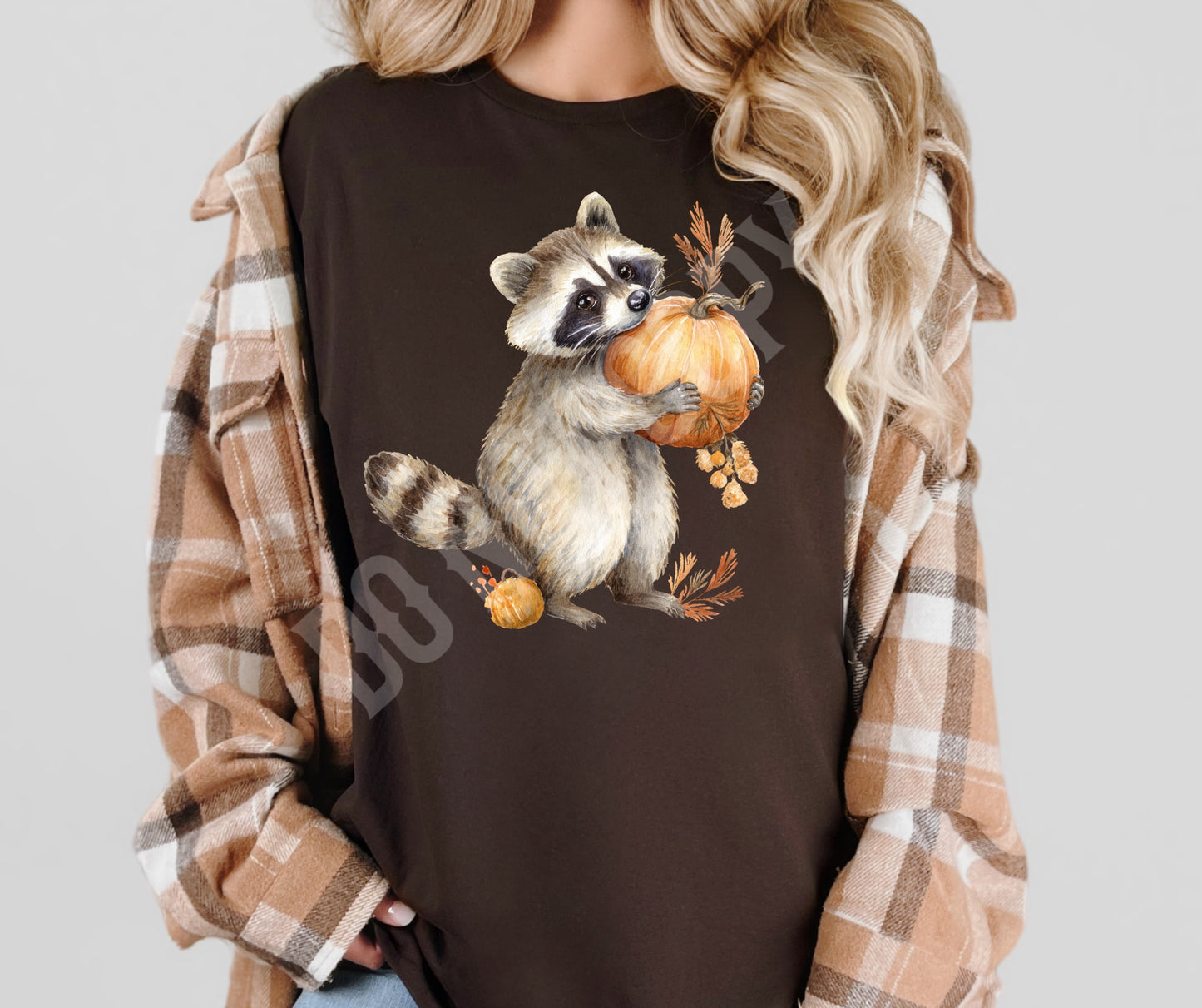 Fall Raccoon pumpkin