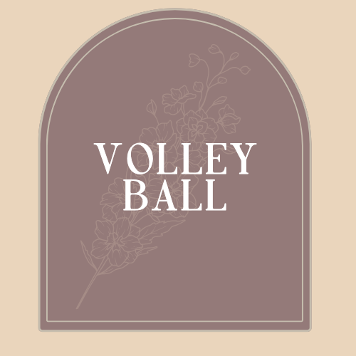 Volleyball