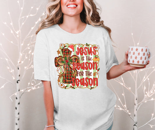 Jesus reason