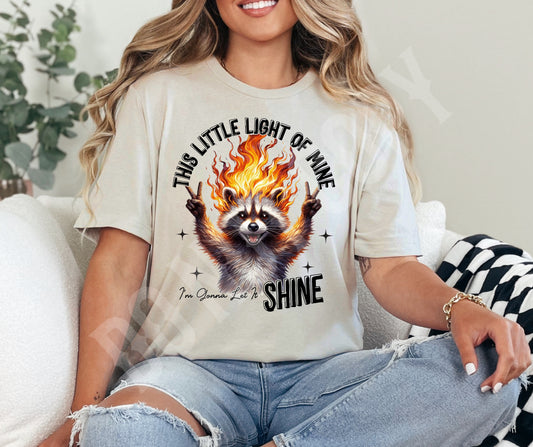 This light Racoon