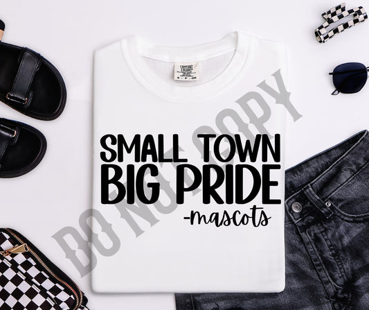Custom mascot small town