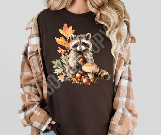 Fall Raccoon