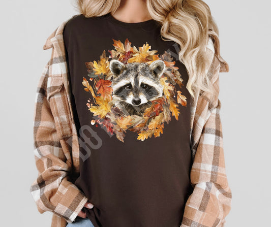 Fall Raccoon