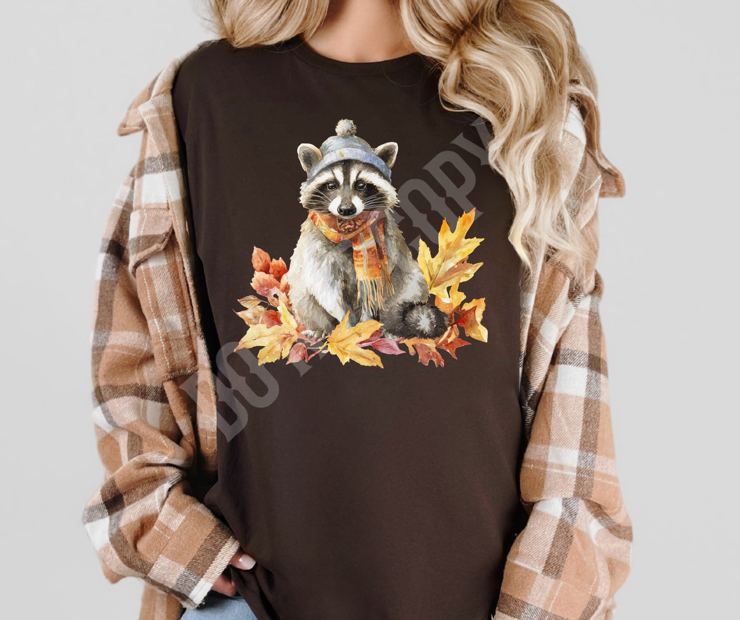 Fall Raccoon