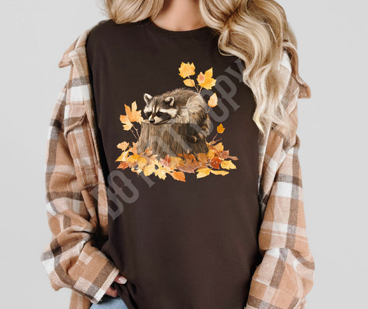 Fall Raccoon