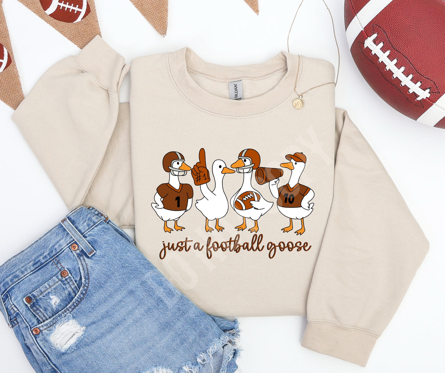 Just a football goose