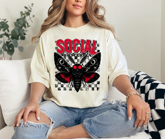 Social Butterfly Moth